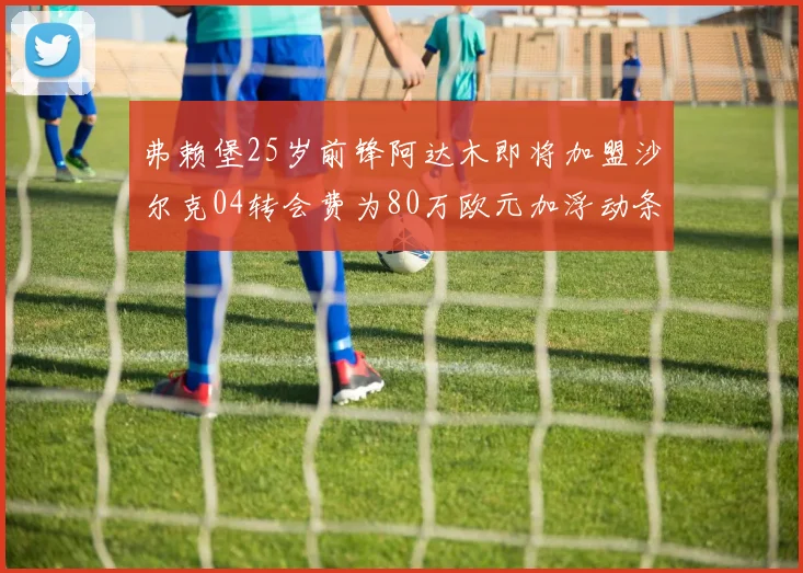 弗赖堡25岁前锋阿达木即将加盟沙尔克04转会费为80万欧元加浮动条件